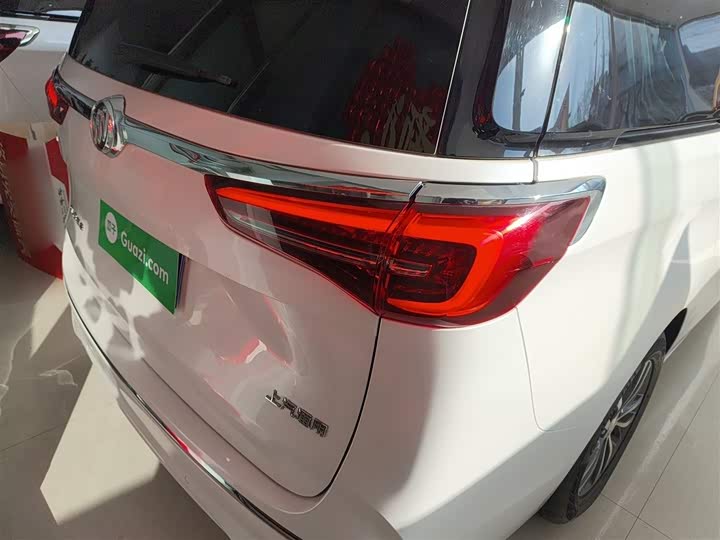 Фото 8 - Buick GL8 ES