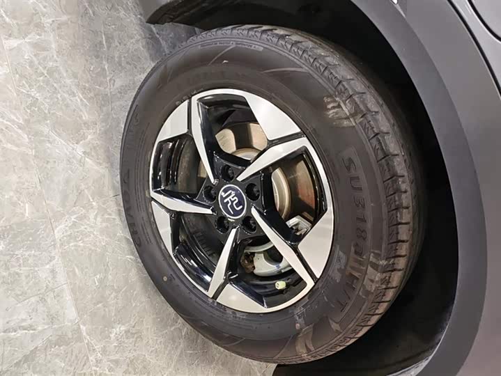 Фото 6 - BYD Yuan Up