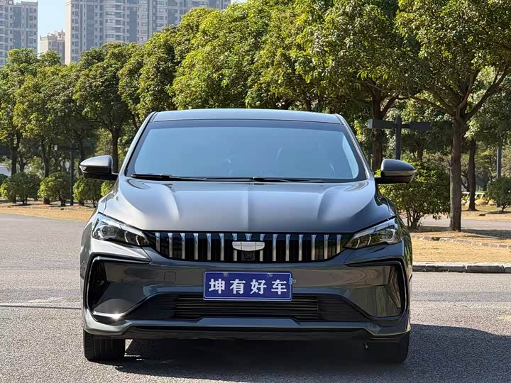 Фото 2 - Geely Binrui