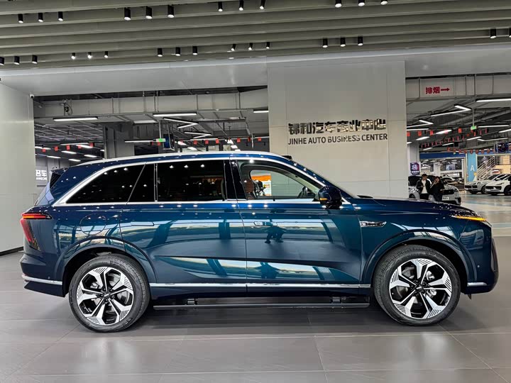 Фото 4 - Wey Lanshan