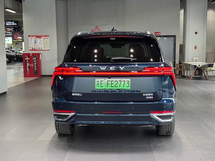 Фото 6 - Wey Lanshan