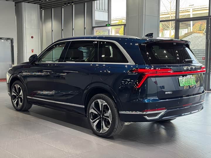 Фото 7 - Wey Lanshan