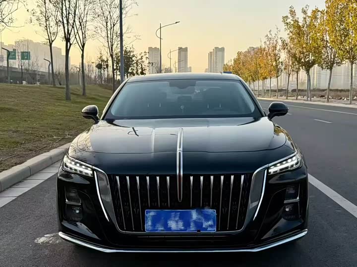 Фото 2 - Hongqi H5