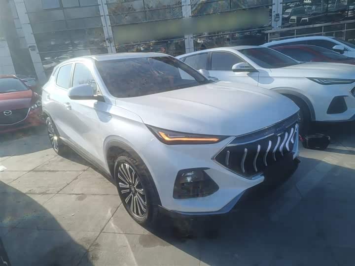 Фото 4 - Changan Oshan X5