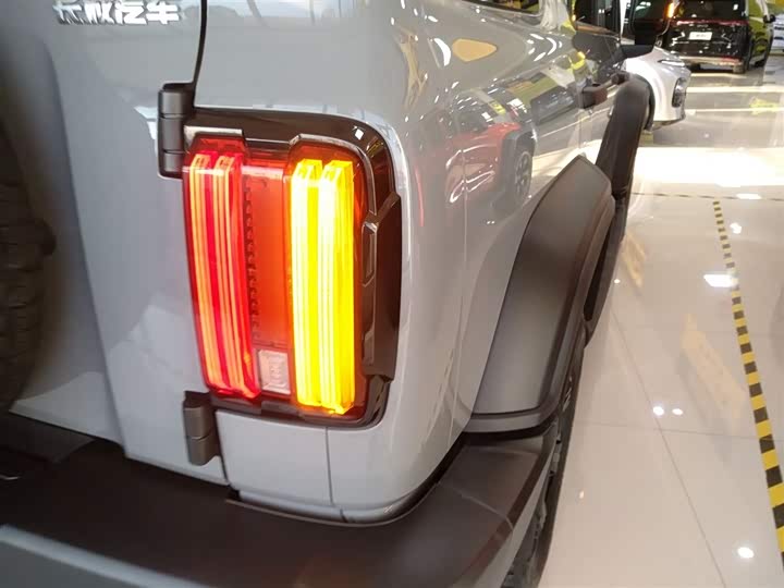 Фото 8 - Tank 300