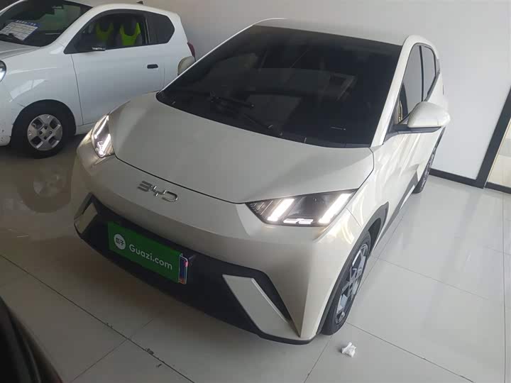 Фото 1 - BYD Seagull