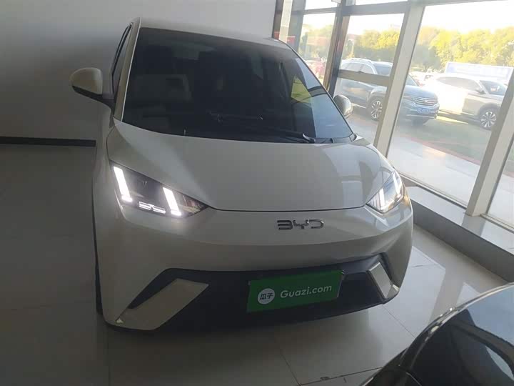 Фото 3 - BYD Seagull