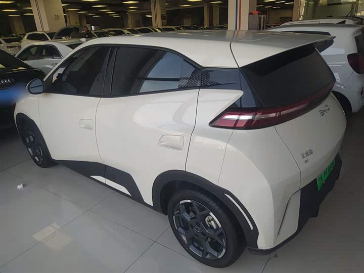 Фото 5 - BYD Seagull