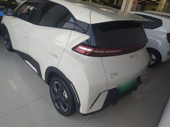 Фото 6 - BYD Seagull