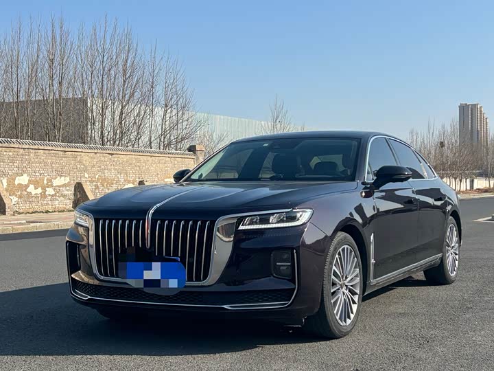 Фото 1 - Hongqi H9