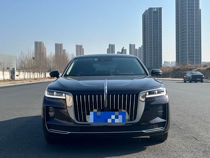 Фото 2 - Hongqi H9