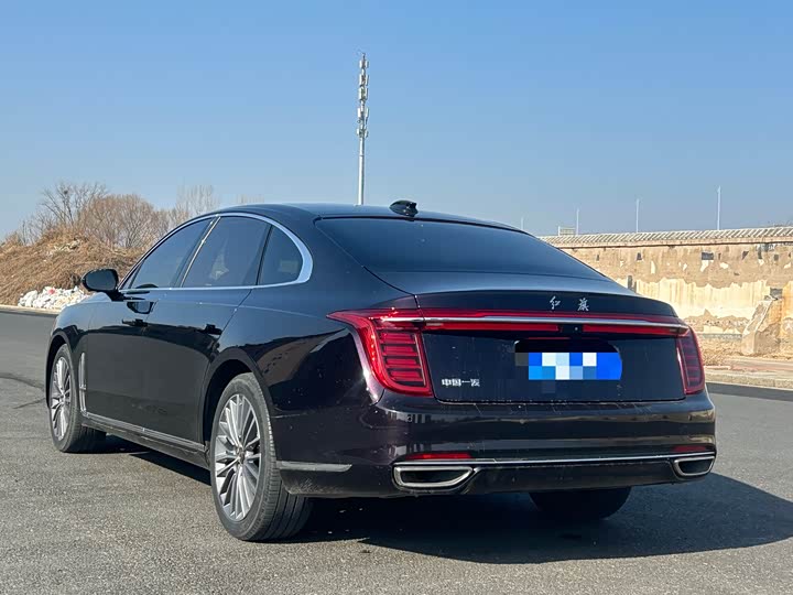 Фото 4 - Hongqi H9