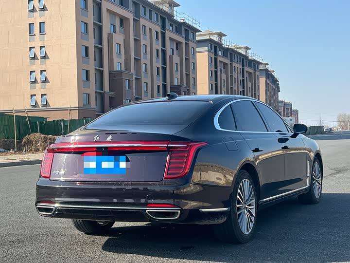 Фото 6 - Hongqi H9