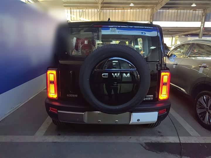 Фото 6 - Haval Raptor Hybrid