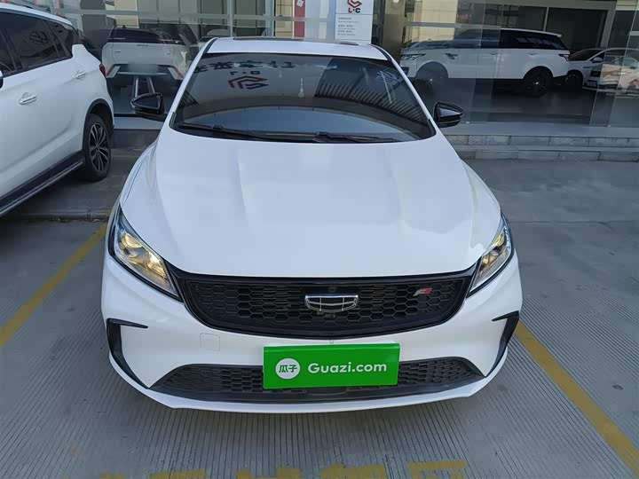 Фото 3 - Geely Binrui