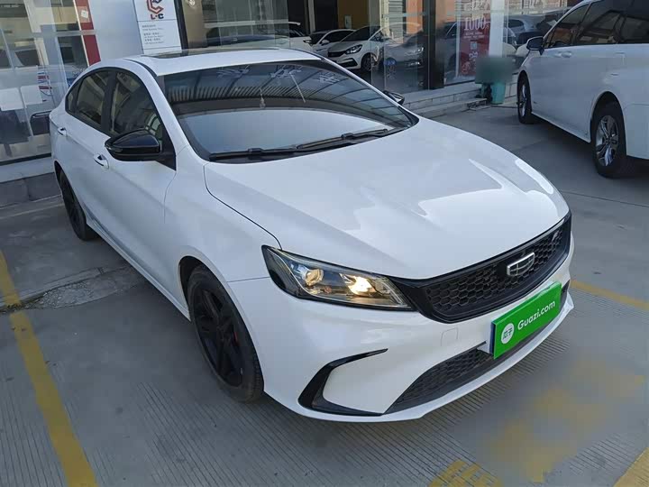 Фото 4 - Geely Binrui
