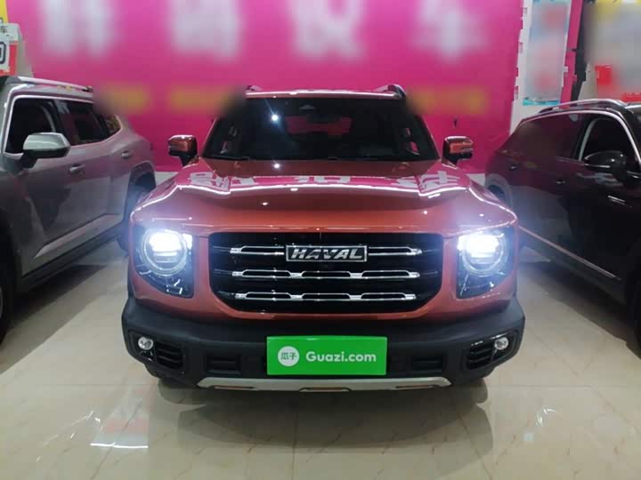 Фото 3 - Haval Dargo