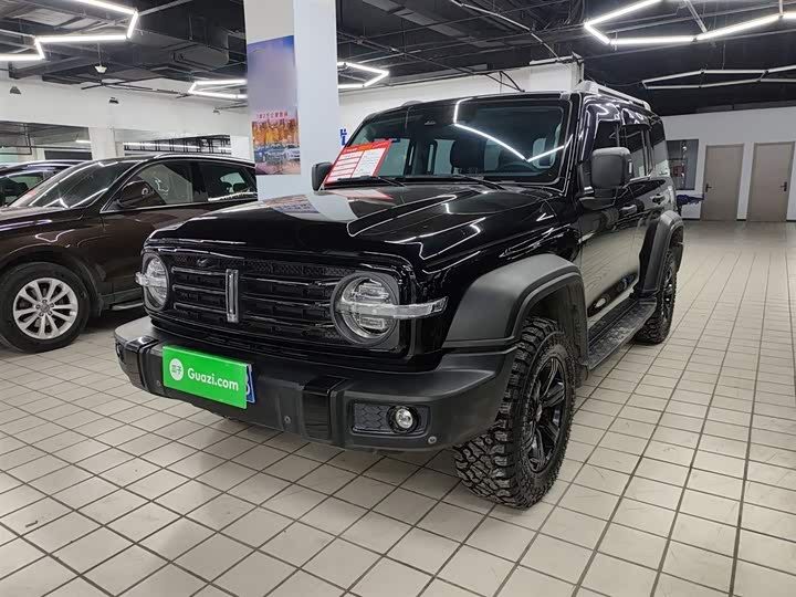 Фото 2 - Tank 300