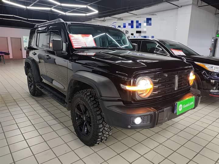 Фото 4 - Tank 300