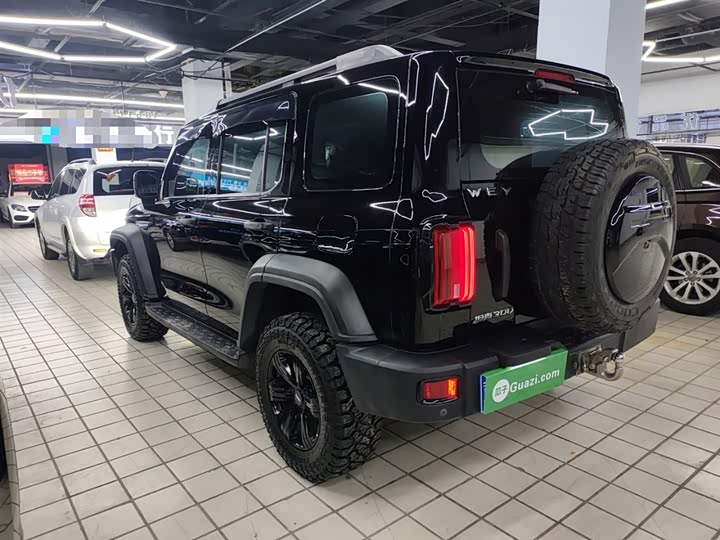 Фото 5 - Tank 300