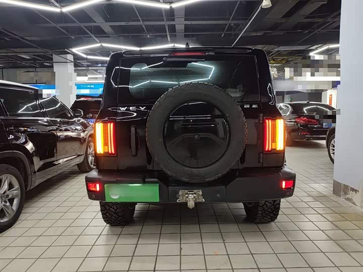 Фото 6 - Tank 300