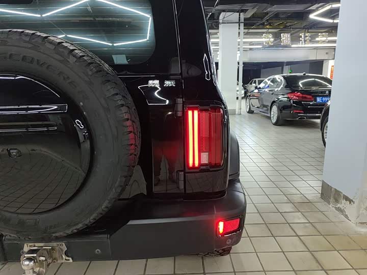 Фото 8 - Tank 300