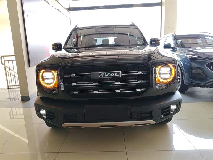 Фото 3 - Haval Dargo