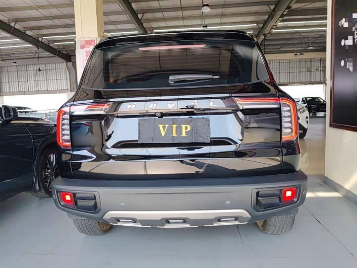 Фото 6 - Haval Dargo