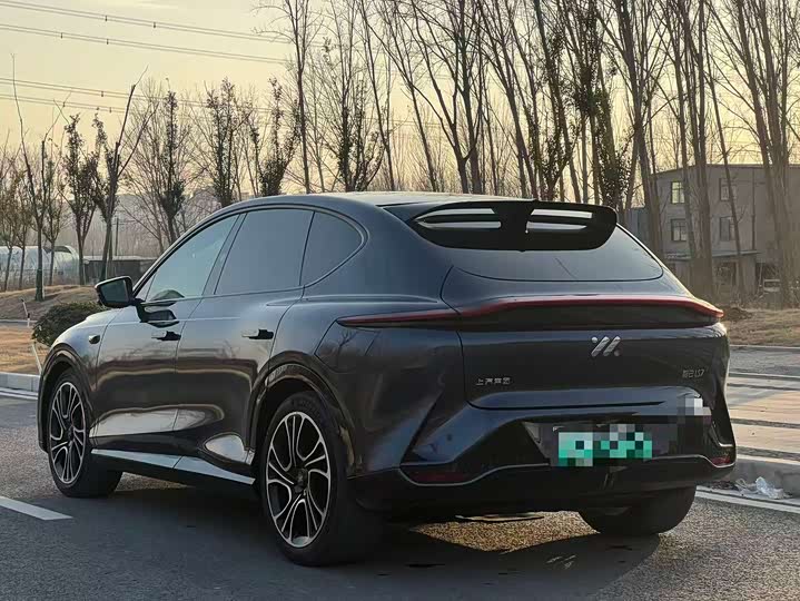 Фото 5 - IM motors LS7