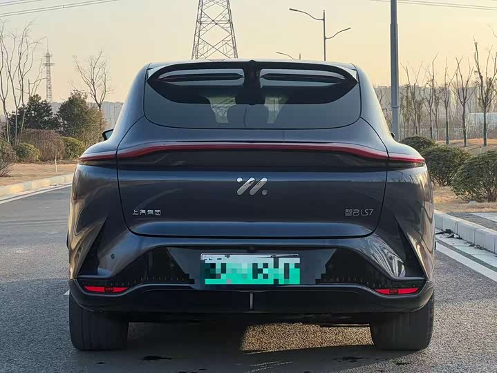 Фото 6 - IM motors LS7