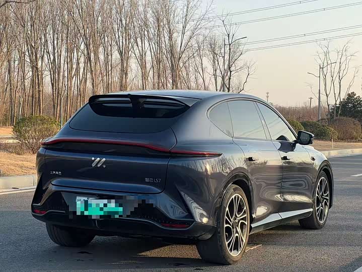 Фото 7 - IM motors LS7