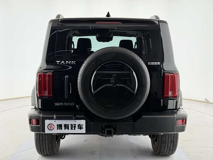 Фото 8 - Tank 300