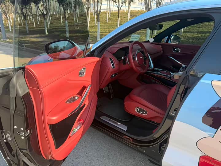 Фото 9 - Aston Martin DBX