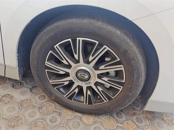 Фото 6 - GAC Trumpchi E9