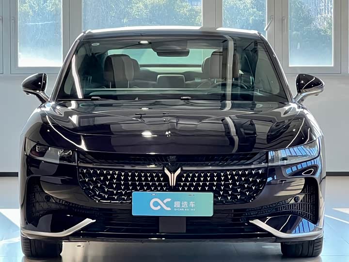 Фото 2 - Voyah Passion