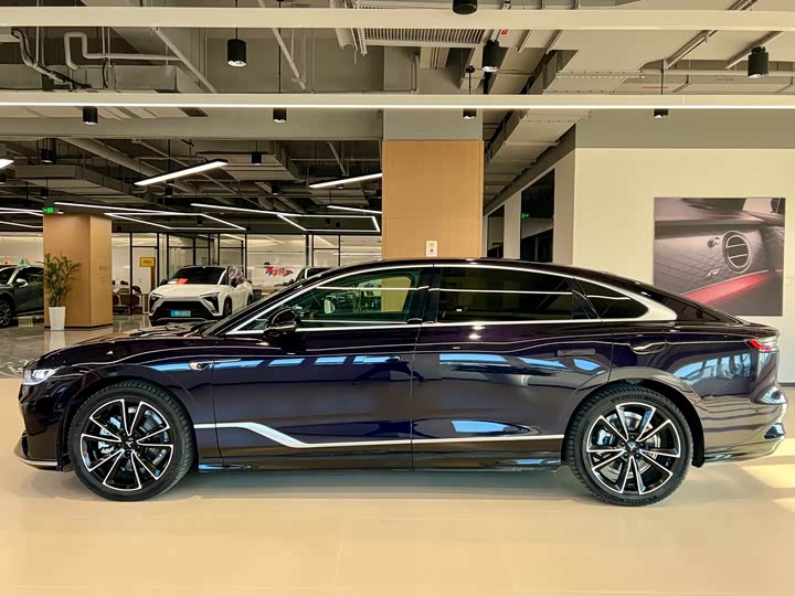 Фото 4 - Voyah Passion