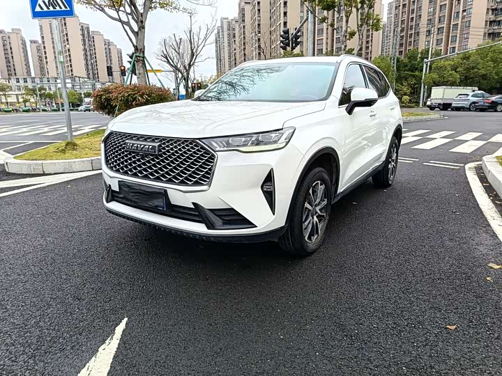 Фото 1 - Haval H6