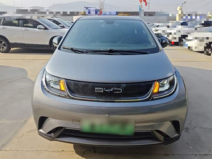 Фото 3 - BYD Dolphin