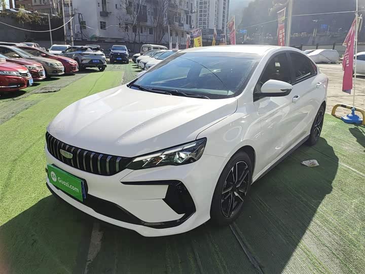 Фото 2 - Geely Binrui