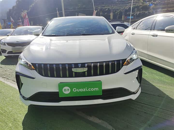 Фото 3 - Geely Binrui