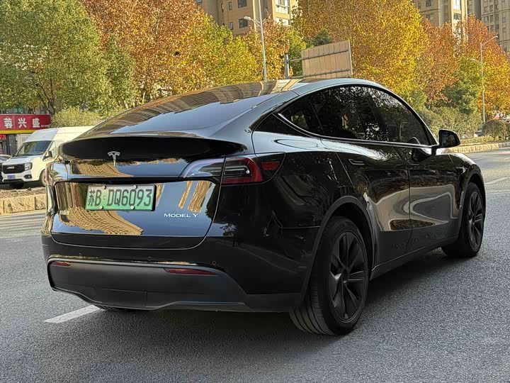 Фото 4 - Tesla Model Y
