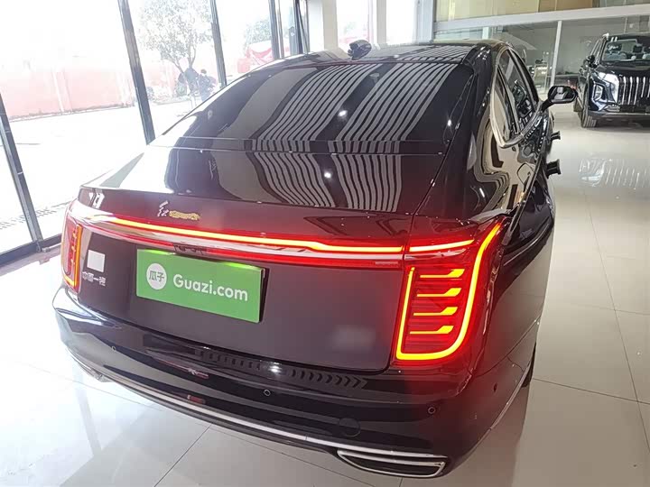 Фото 6 - Hongqi H9