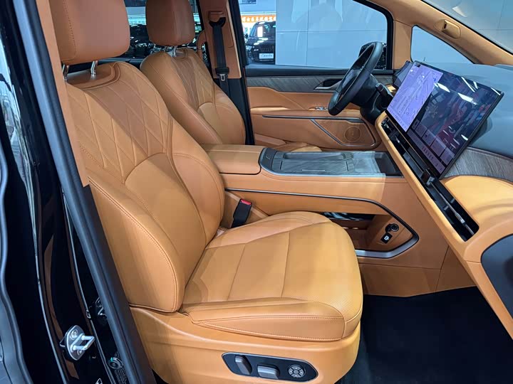 Фото 6 - Wey Gaoshan