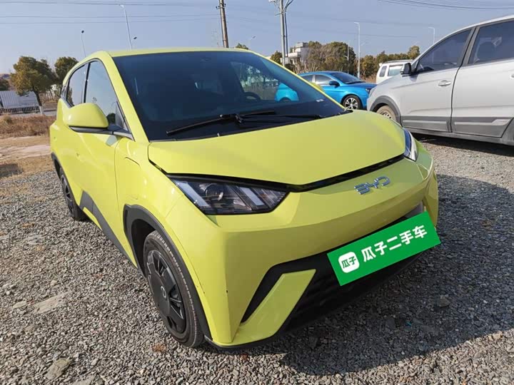 Фото 4 - BYD Seagull