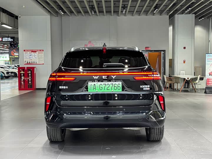 Фото 6 - Wey Mocca Hybrid