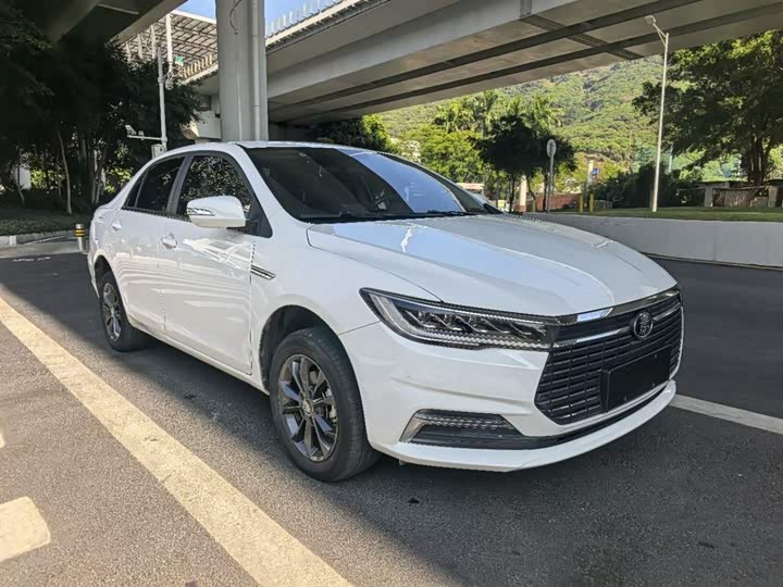 Фото 4 - BYD Qin EV