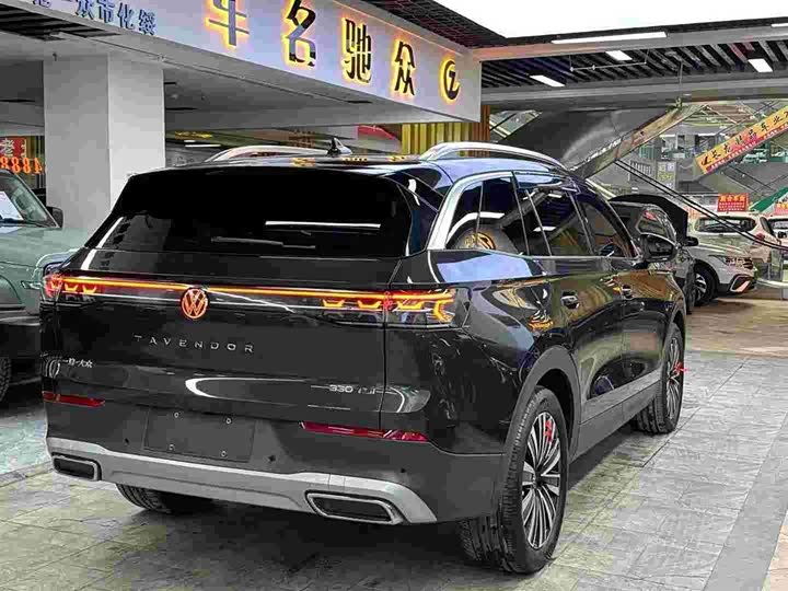 Фото 7 - Volkswagen Tavendor