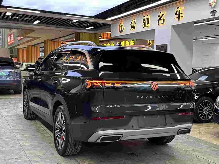 Фото 8 - Volkswagen Tavendor