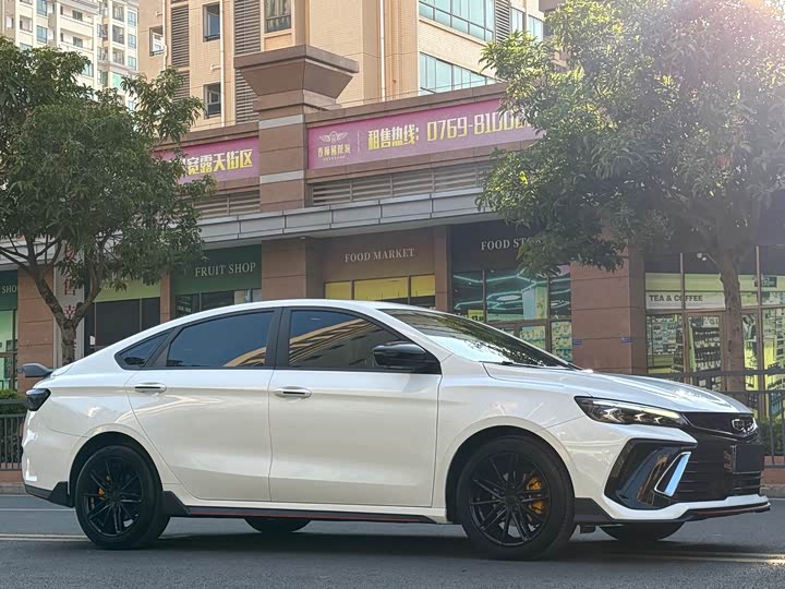 Фото 3 - Geely Binrui