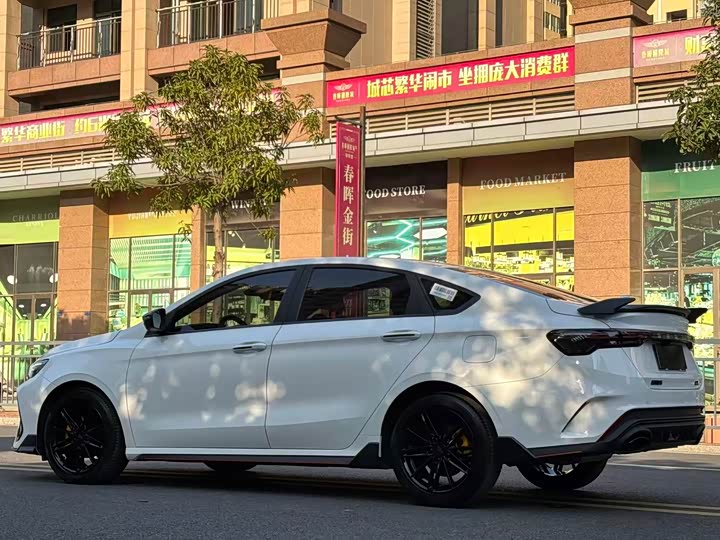 Фото 6 - Geely Binrui